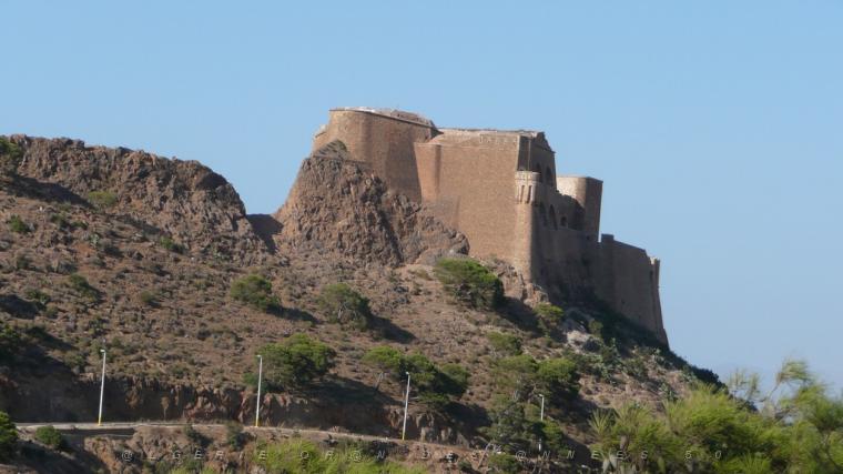 ORAN SANTA CRUZ (115).jpg